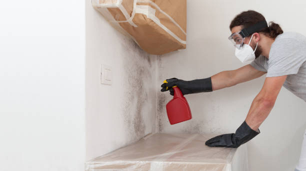 Professional Mold Cleanup technician working in Hewlett, NY